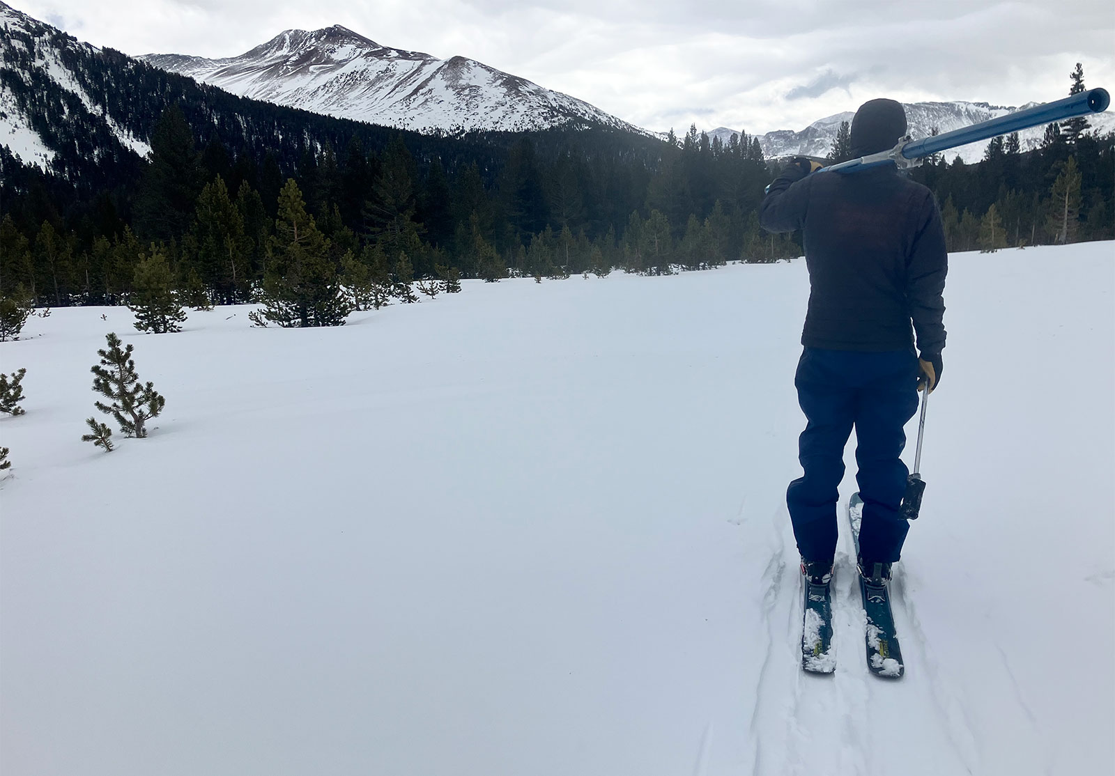 Dana Meadow snow survey on January 30, 2025.