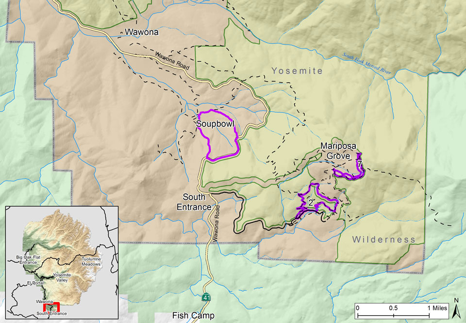 Map highlighting portions of lower and upper Mariposa Grove and an area west of Wawona Road between South Entrance and Wawona as possible burn areas