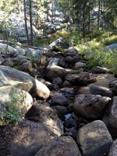 Middle Fork Tuolumne River in September