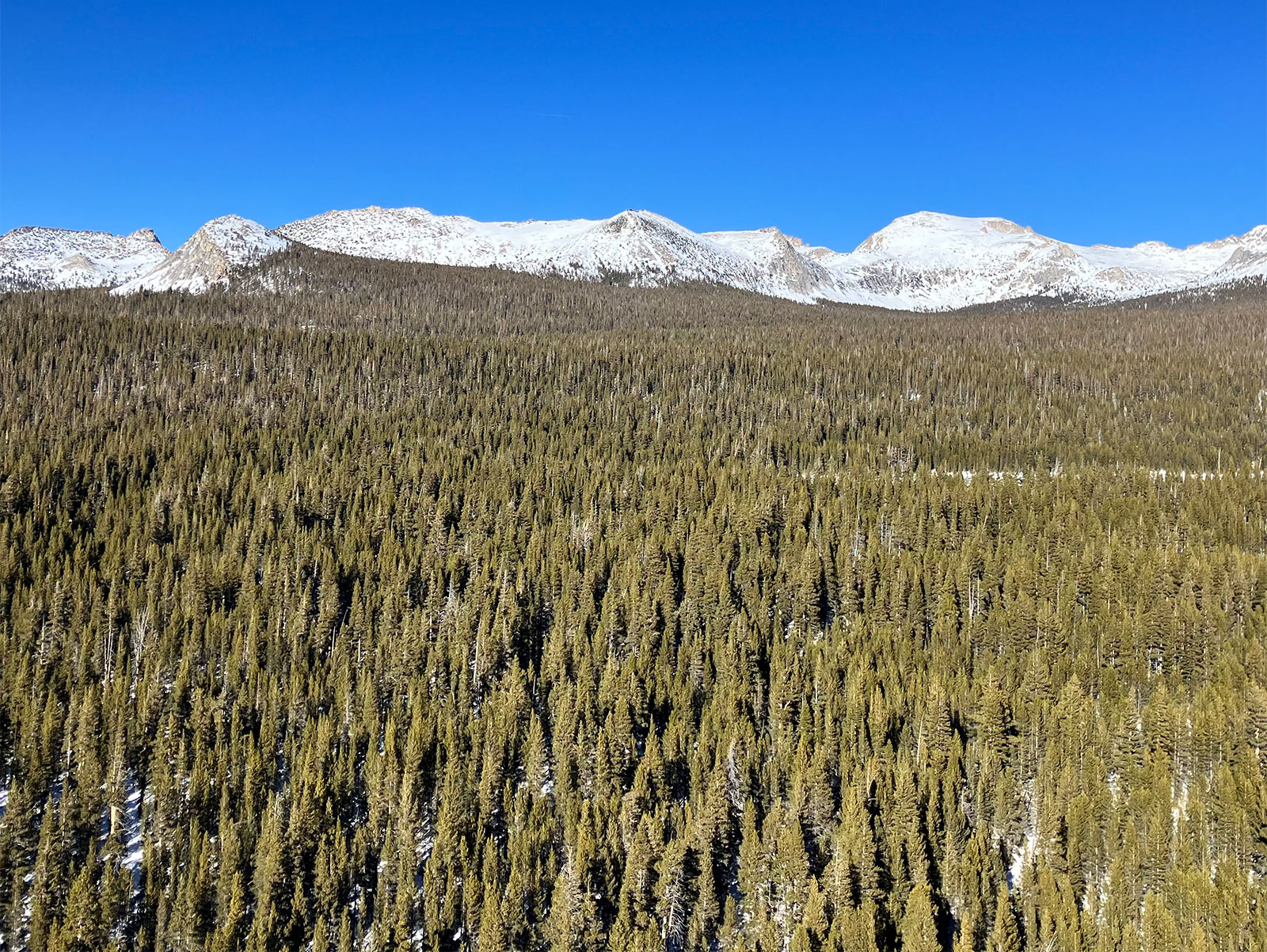 Moraine Flat and White Mountain on January 19, 2026.