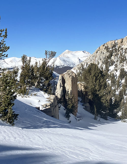 Mt. Conness and whitebark pines on February 8, 2025.