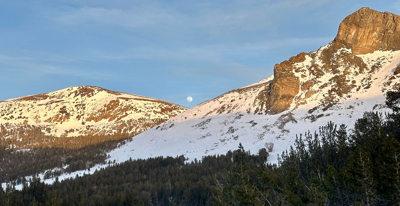 No new snow moon over Dana Plateau on January 31, 2026.