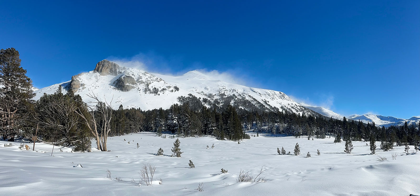 North wind event over Mt-Dana on January 8, 2026.
