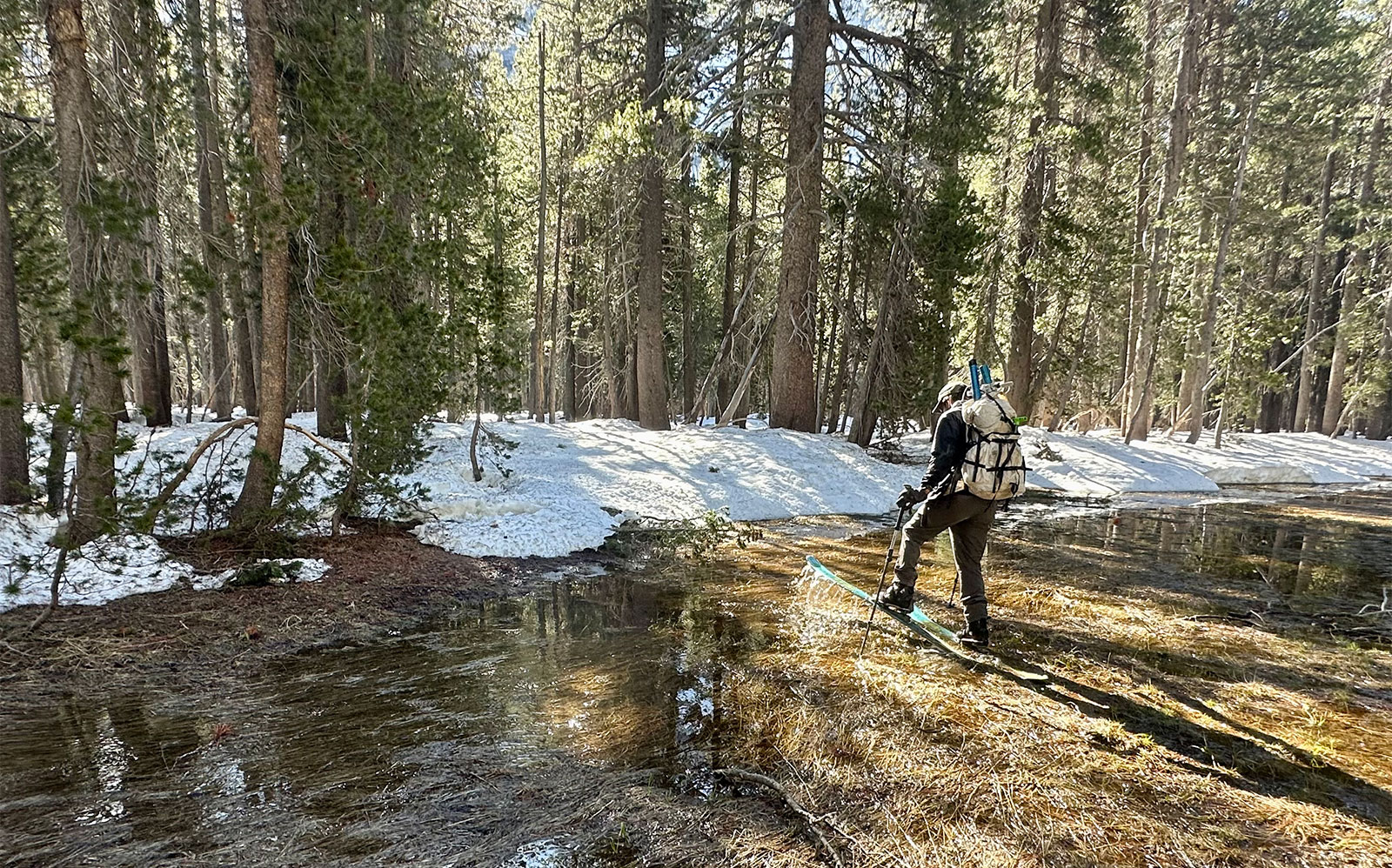Snow comes in many forms survey on March 25, 2026.