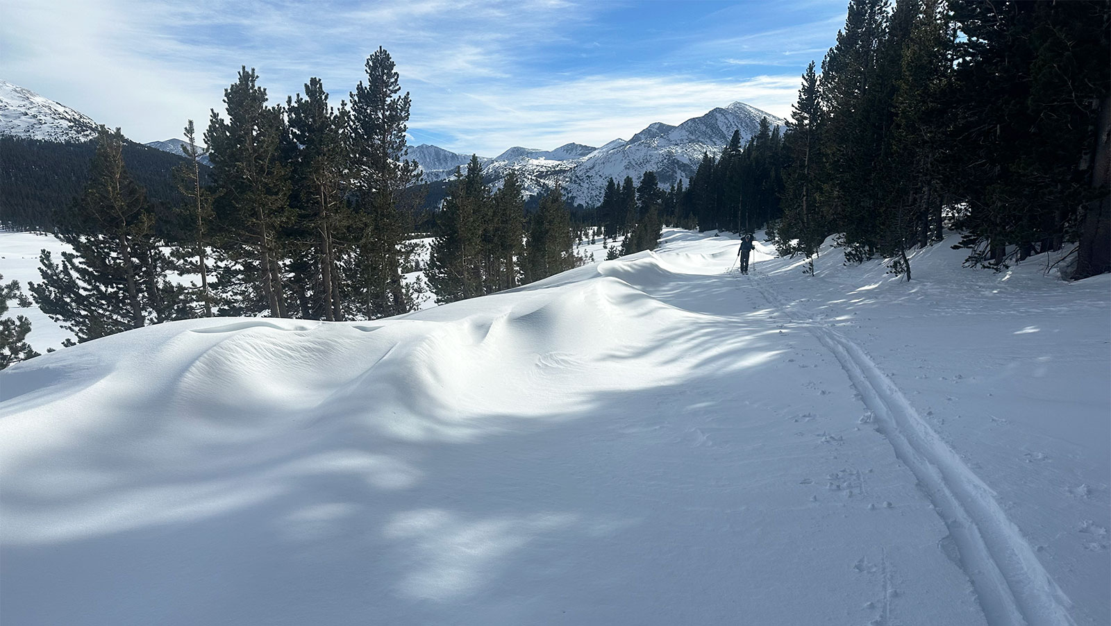 Snow waves along the Tioga Road on December 28, 2024.