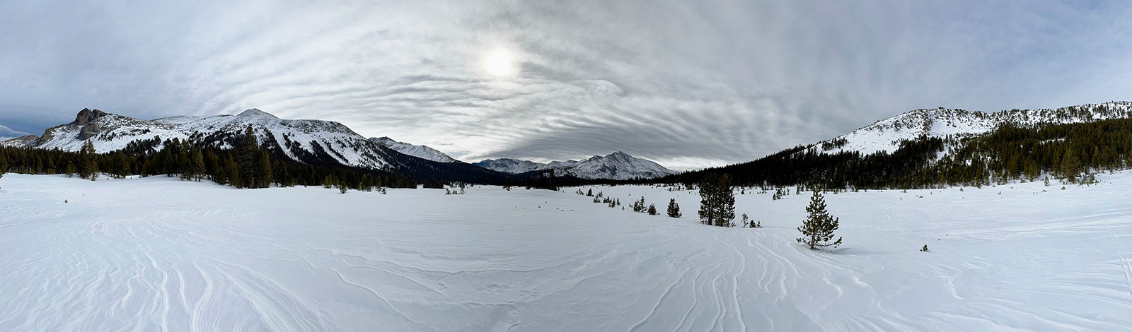 Dana Meadows on January 1, 2025