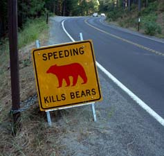 Speeding Kills Bears sign alongside road