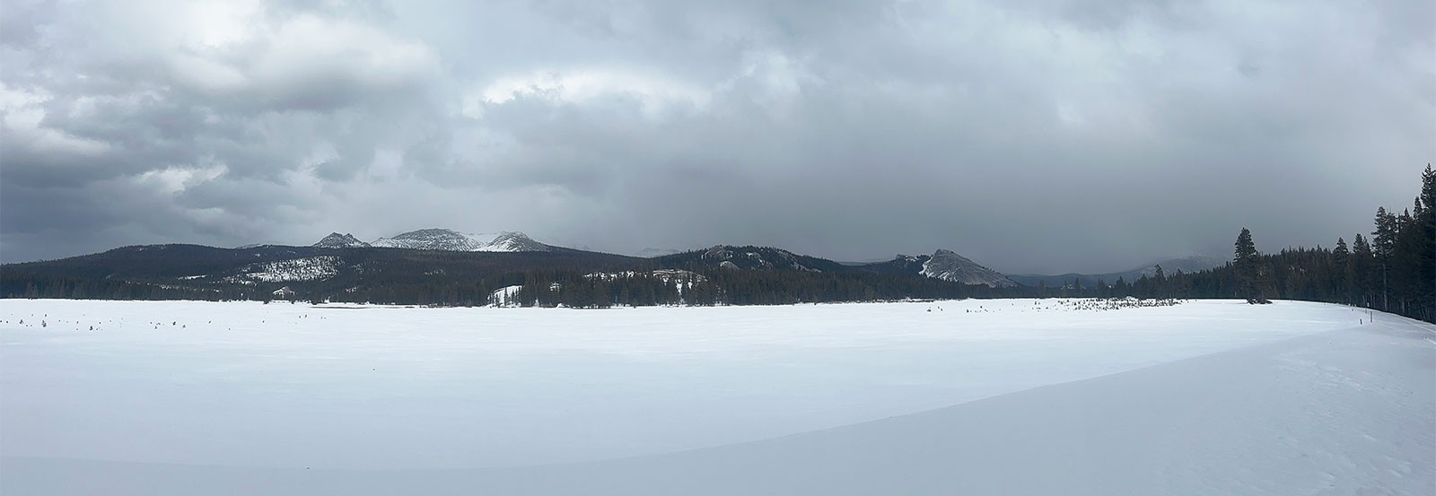 Tuolumne Meadows on January 25, 2025.