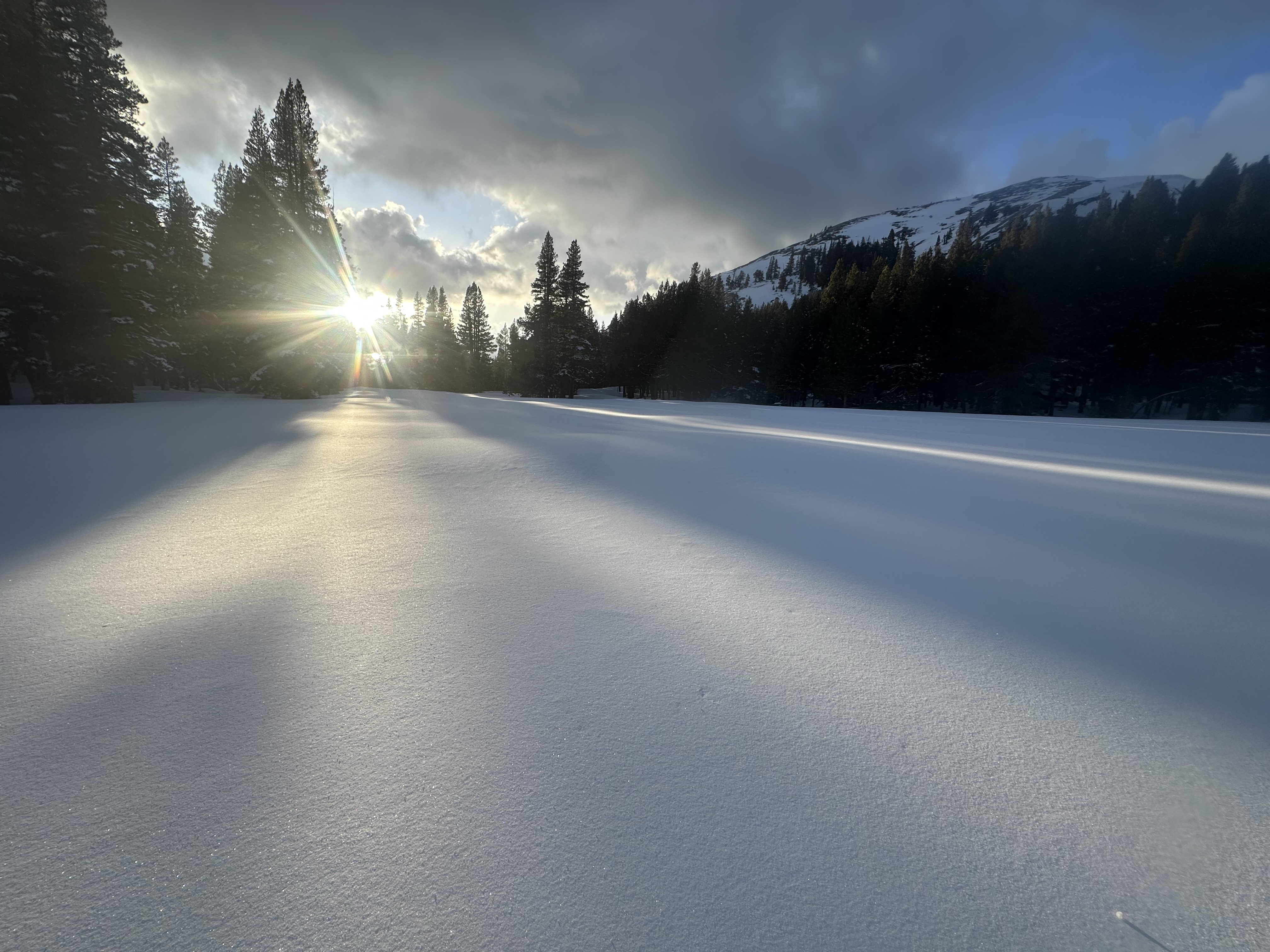 Setting sun glistening through the trees onto an untouched snowy meadow