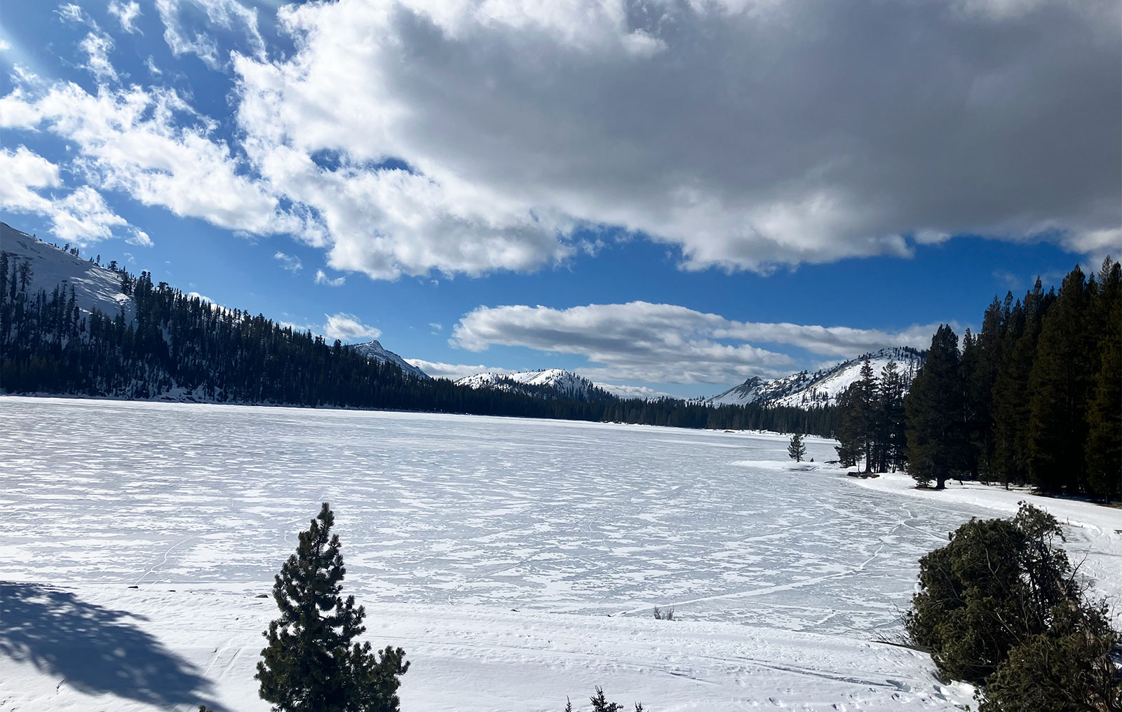 Tenaya Lake on January 25, 2025.