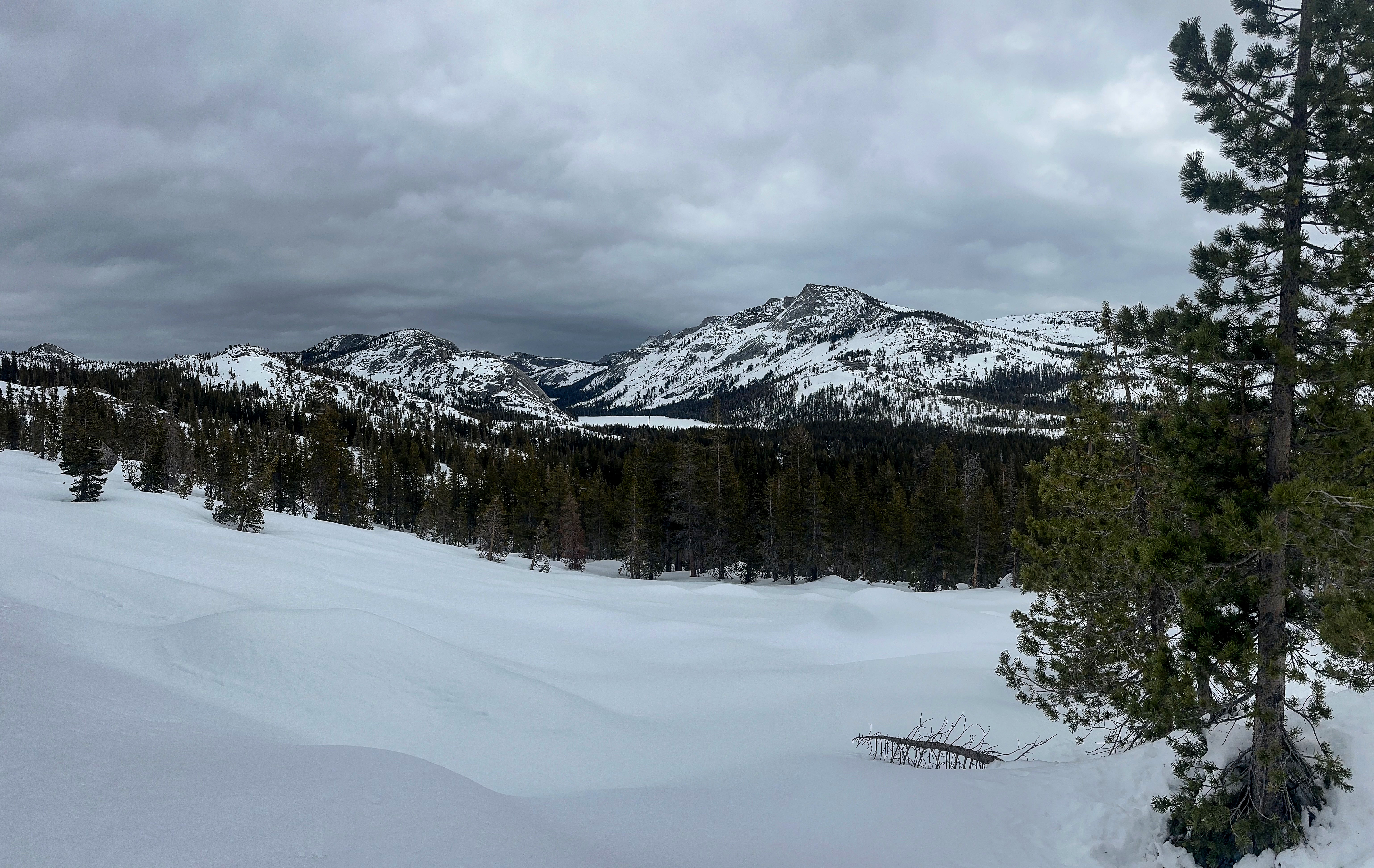 Tenaya Peak rises above frozen Tenaya Lake off in the distance; snow and forest in the foreground