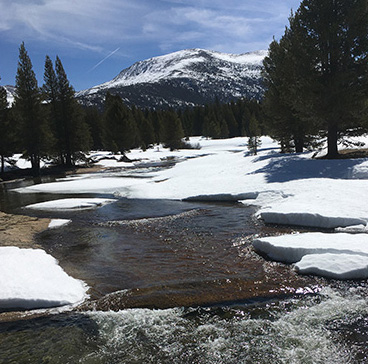 The Lyell Fork of the Tuolumne River opening up with melting snow at Twin Bridges on April 12, 2021.