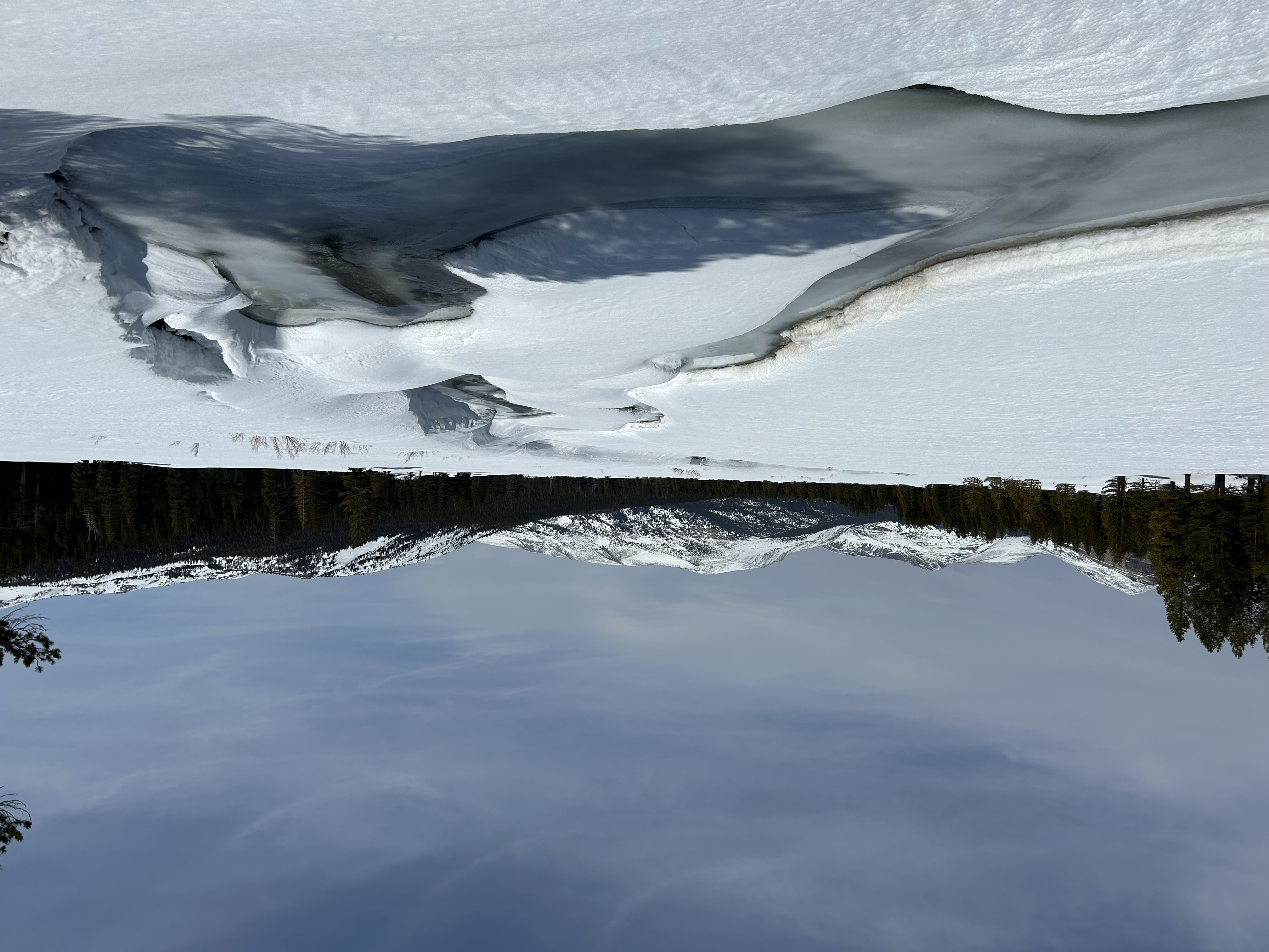 View from along the banks of the Tuolumne River, with just a bit of flowing water emergeing from beneath ice and snow; forest and snowy mountains in the distance