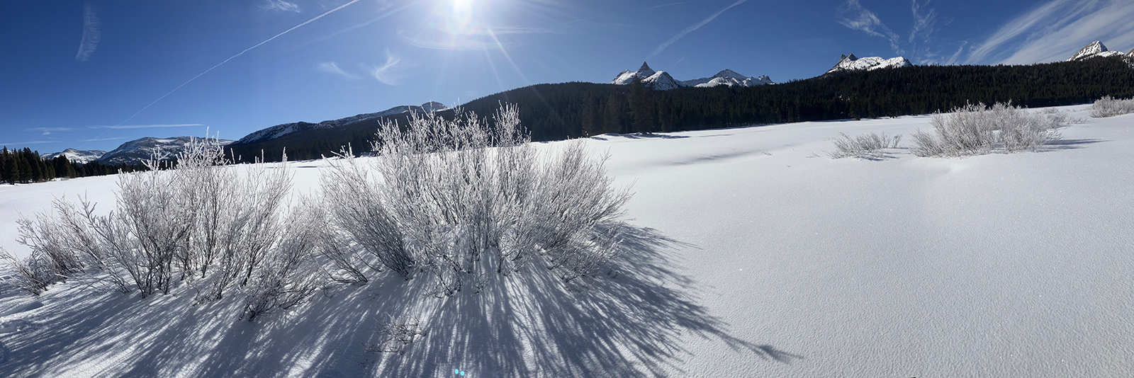 Tuolumne Meadows on December 20, 2024.