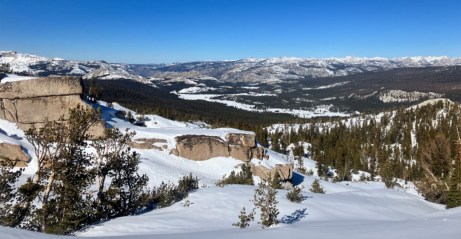 Tuolumne Meadows on January 29, 2025.
