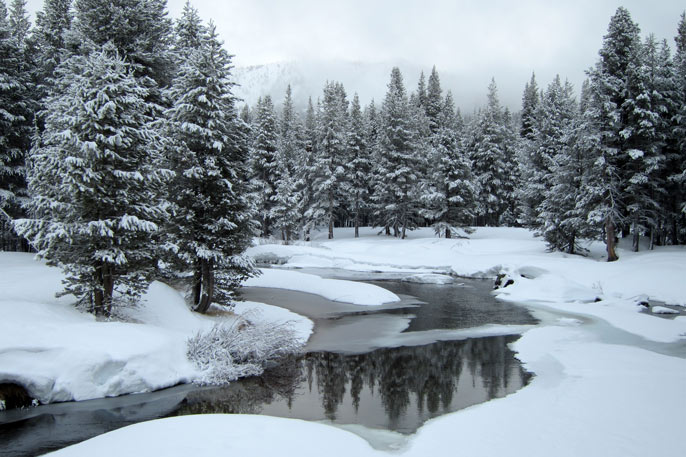 Tuolumne River reflects newly fallen snow on April 1st