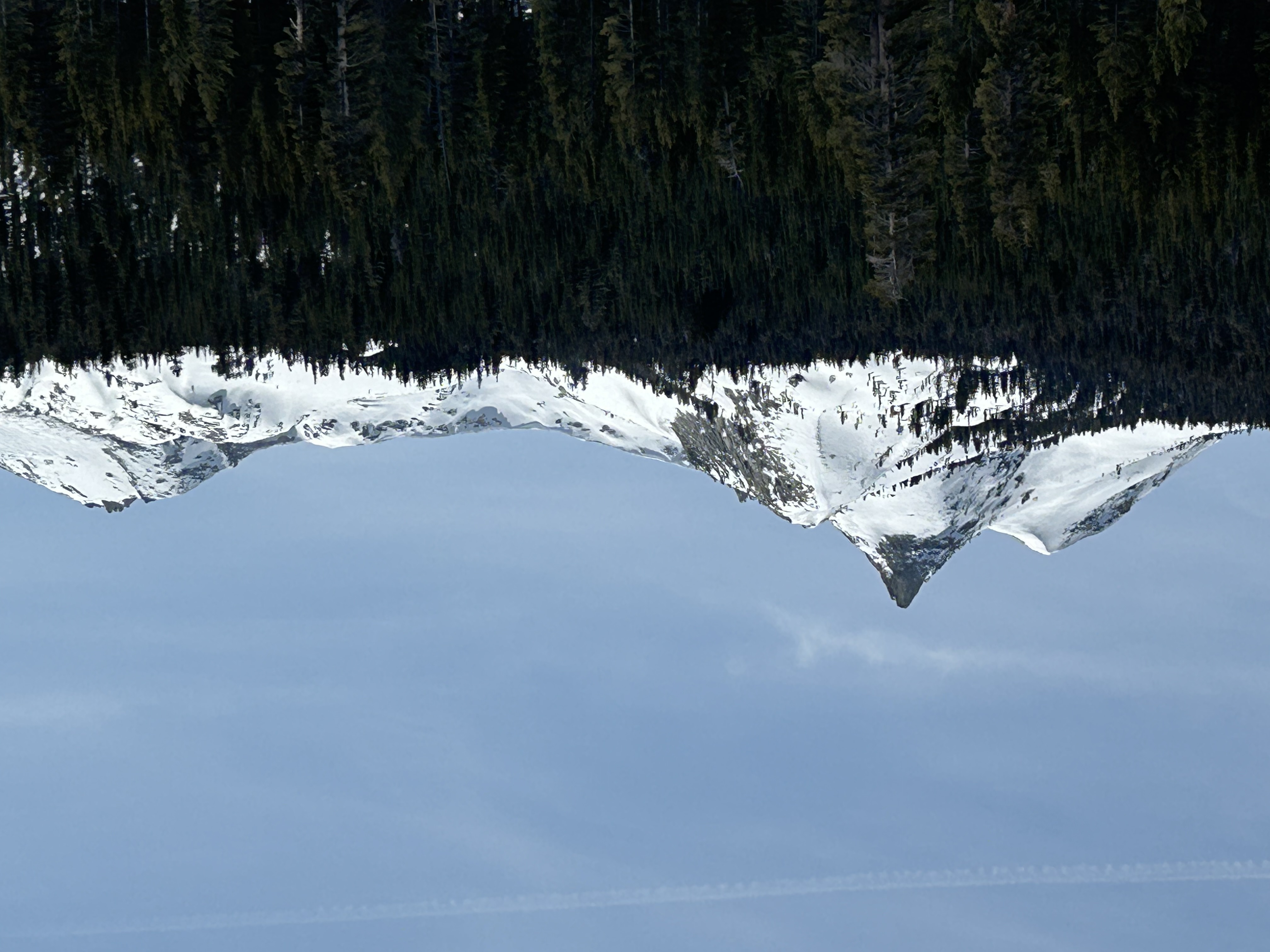 Unicorn Peak and the Cathedral Range rise beyond a forest