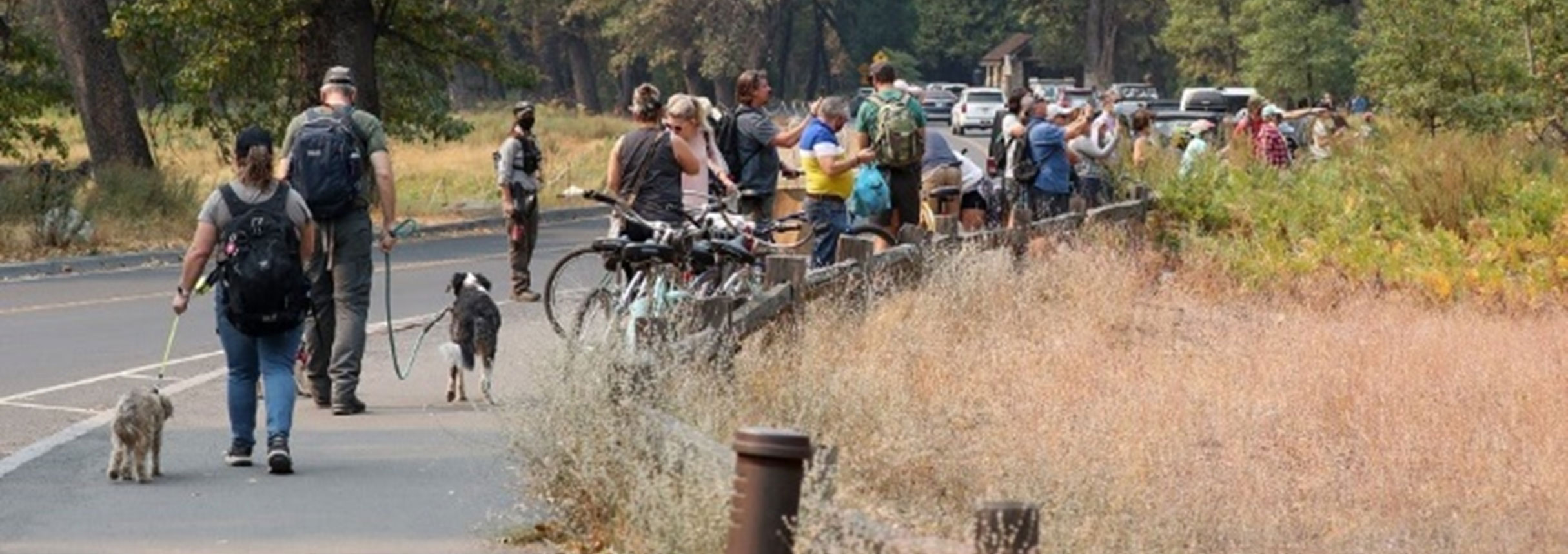 Crowd of people standing on bike path looking off into the woods