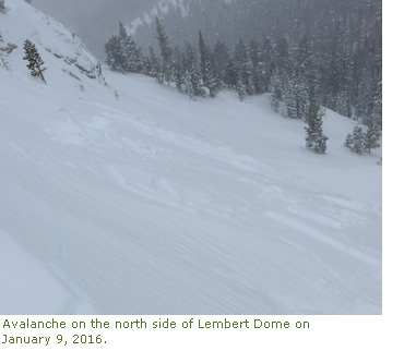 Avalanche on the north side of Lembert Dome on January 9, 2016