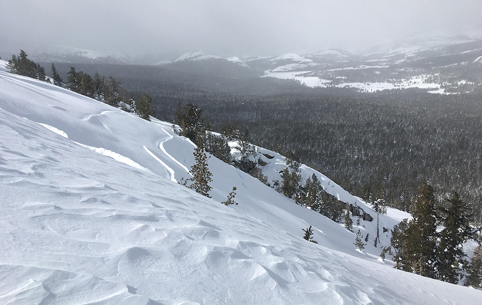 Creep cracks on slope north of Johnson Peak on February 8, 2019.
