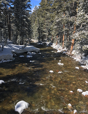 The Dana Fork after snowfall on April 16, 2018.