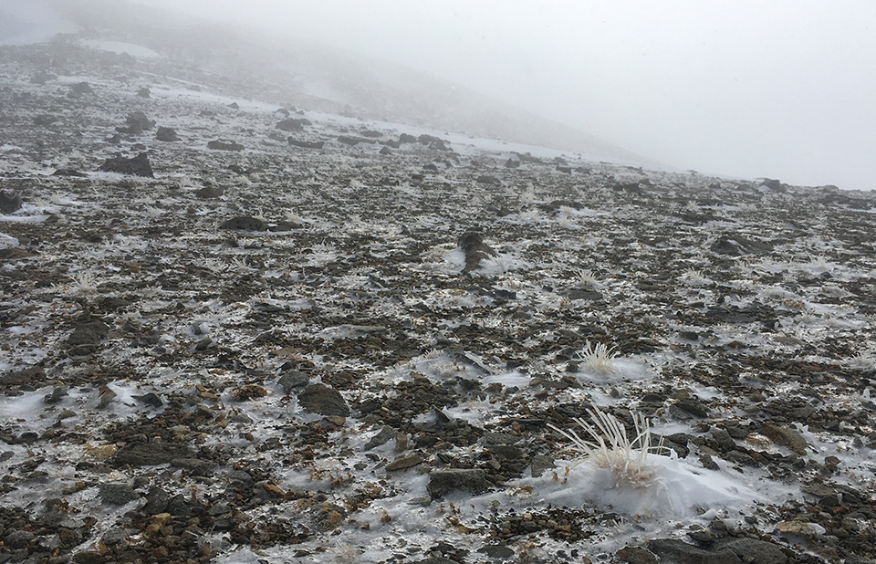 Freezing rain and rocky terrain on the Dana saddle on January 30, 2020.