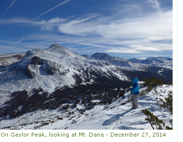 Skier on Gaylor Peak, looking at Mt. Dana - December 27, 2014
