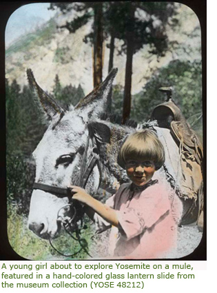 Image of a young girl about to explore Yosemite on a mule in a hand-colored glass lantern slide from the museum collection 