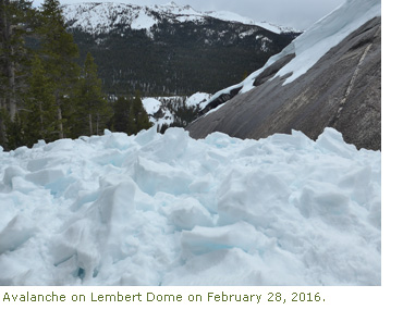 Avalanche on Lembert Dome