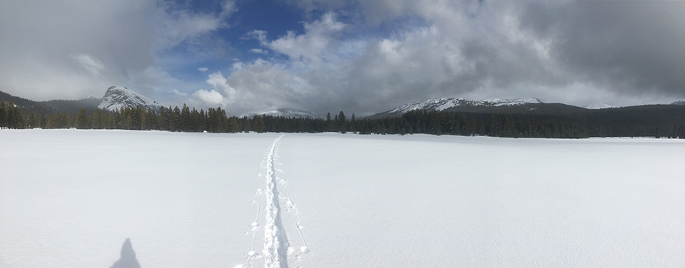 Lone ski track in Tuolumne Meadows on March 22, 2020.