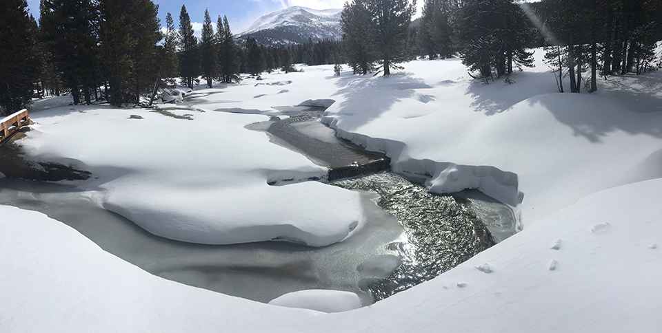 Lyell Fork and Mammoth Peak on March 14, 2020