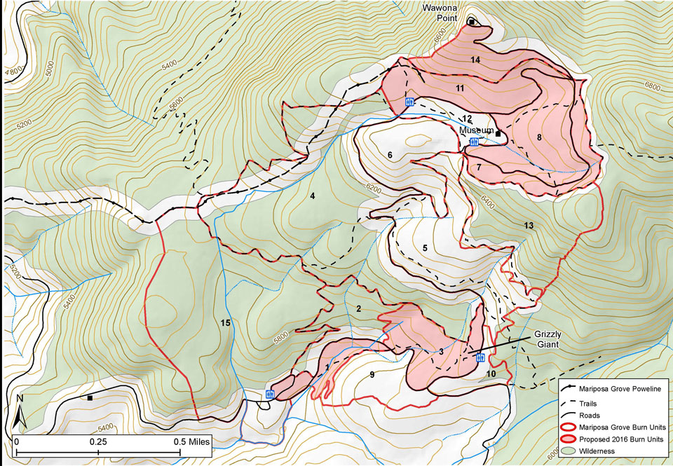 Map showing proposed area of prescribed fire within Mariposa Grove