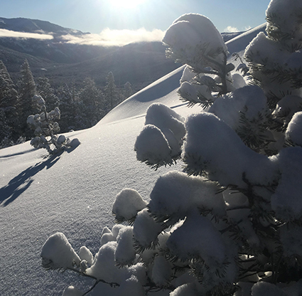 Newly fallen snow on December 24, 2019