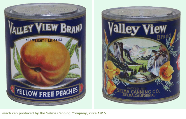 Peach can produced by the Selma Canning Company circa 1915