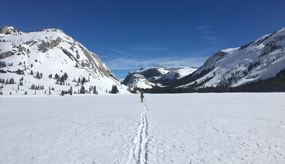 Skier on Tenaya Lake on February 23, 2019.