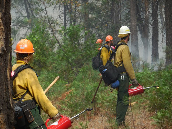 Ignitions begin on Taft Toe Prescribed Burn (firefighters with drip torches)