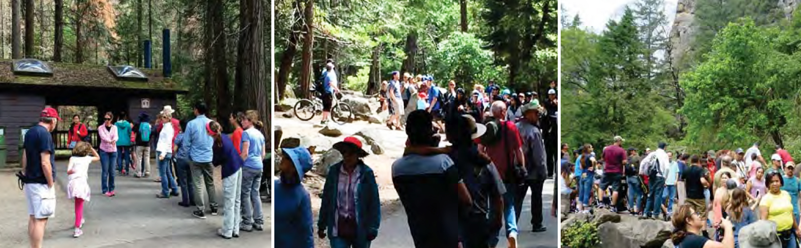Three images of crowding on the trail to Bridalveil Fall and near the bathrooms in the parking area