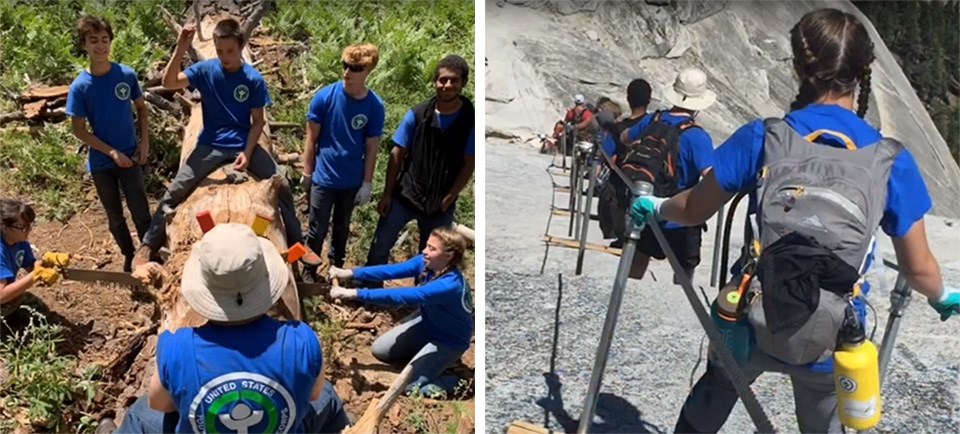 left photo shows YCC crew sawing a felled tree, right picture shows crew on Half Dome cables