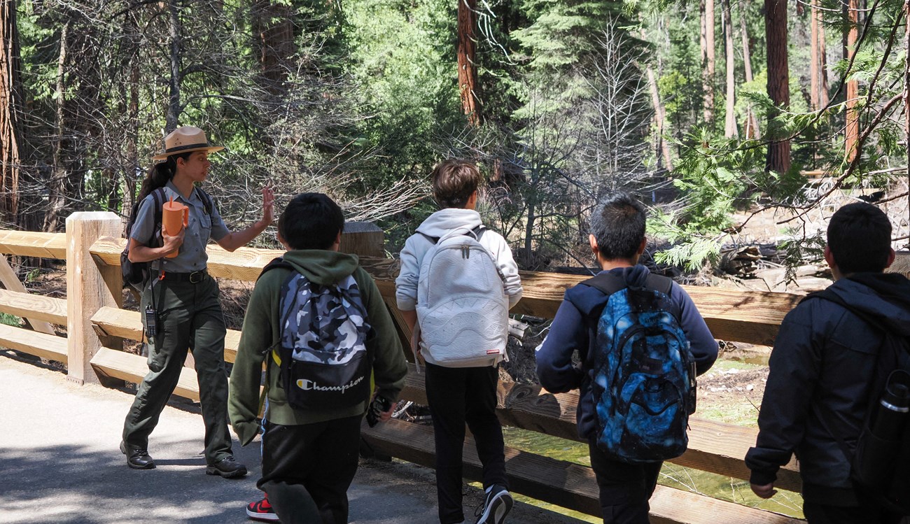 Ranger leading students over Yosemite Creek Bridge