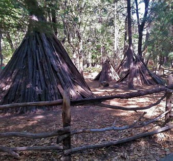 Four bark houses located behind the Yosemite Museum. They look like tipi's but they have pine or cedar pole frameworks lashed with grapevines covered with bark to keep out the weather.