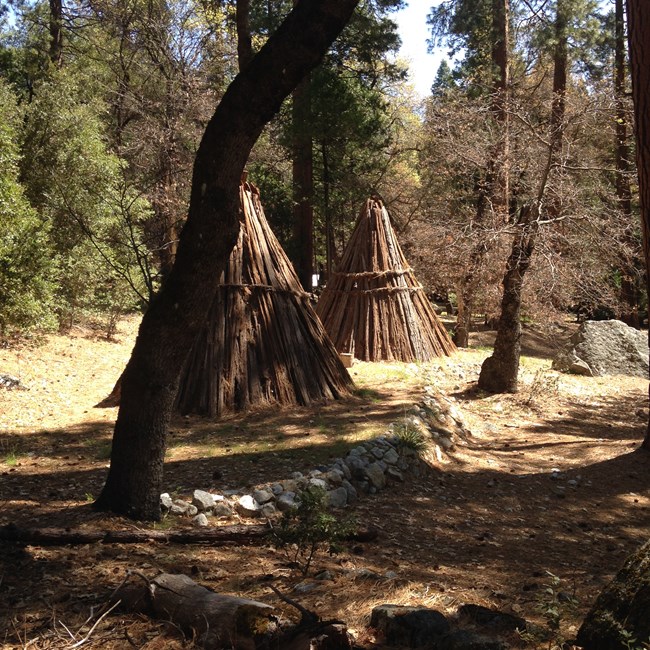 A photograph of two umachas, pyramidal cedar bark houses, in Wahhoga Village.