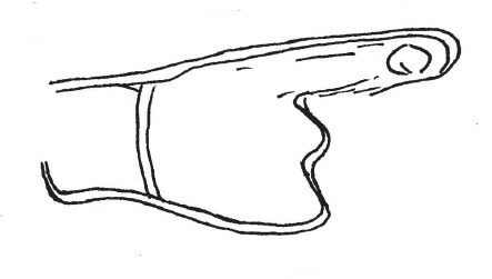 A detailed illustration of a hand pointing to the right