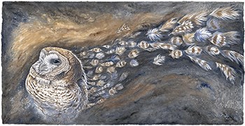 Artistic rendition of a spotted owl for the Renaissance 33 exhibit