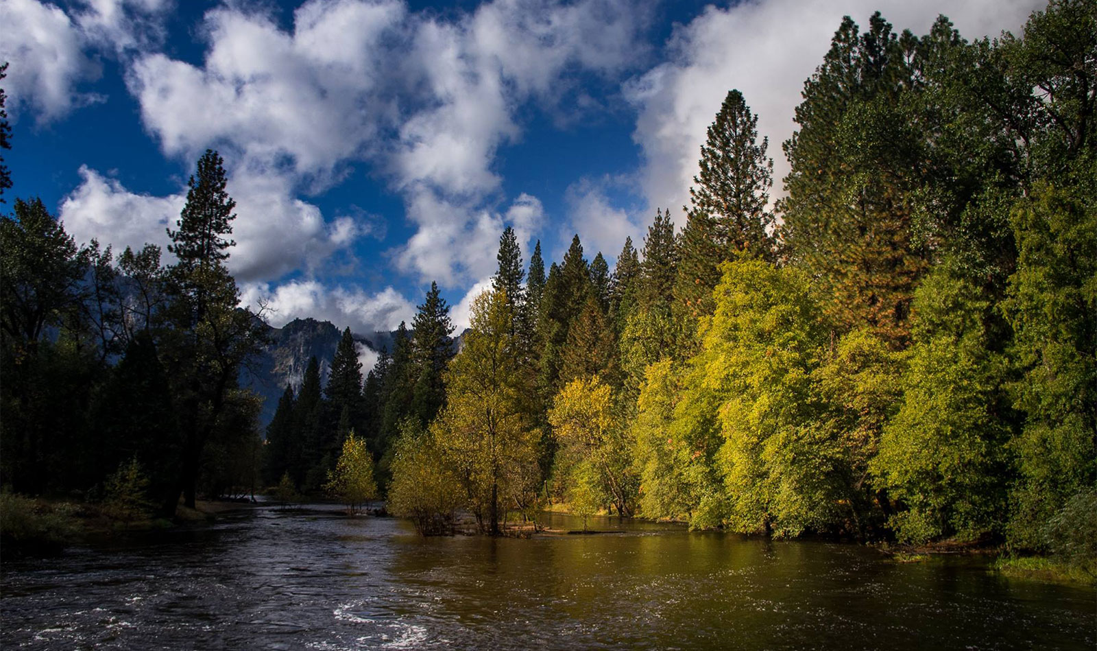 Merced River looking downstream from Superintendent's Bridge.