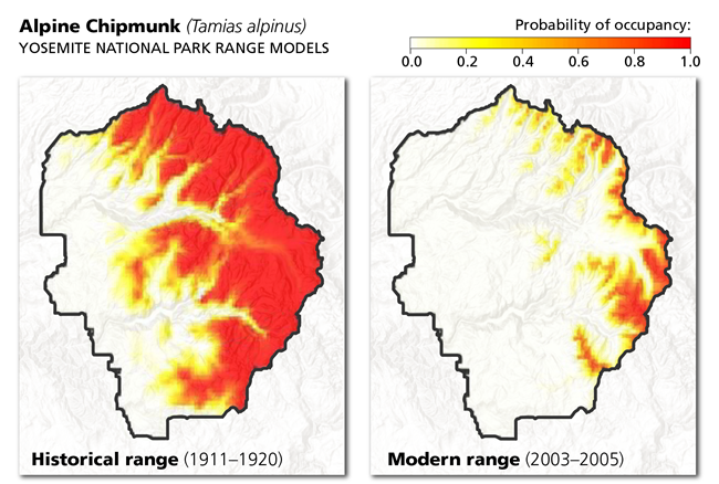 Two maps show historic and modern range of the alpine chipmunk. Modern range is much smaller than historic range, and limited to mountaintops.