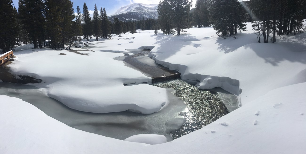 Lyell Fork and Mammoth Peak on March 14th, 2020