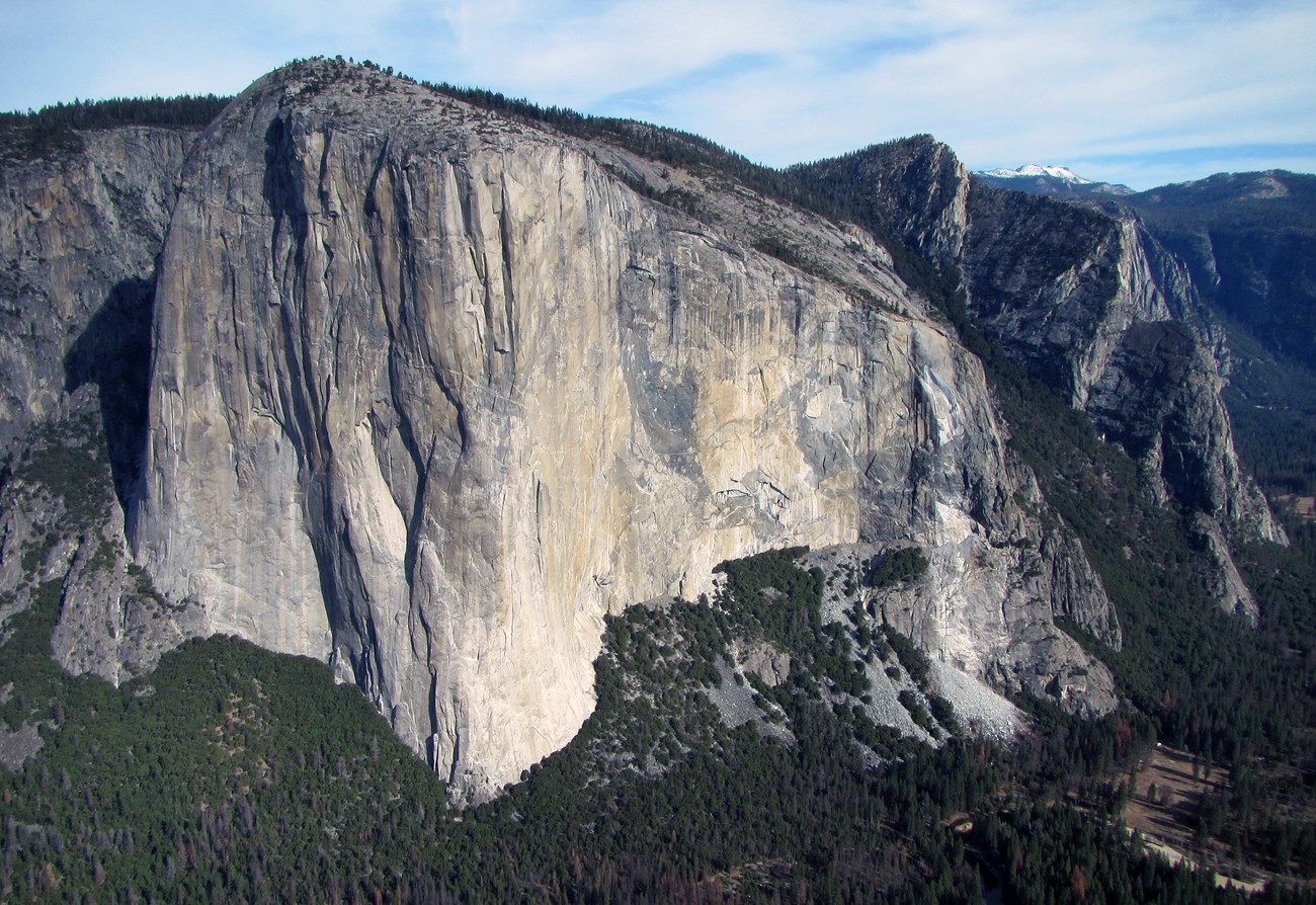 Photo of El Capitan, a large granitic  cliff face rising from the floor of Yosemite Valley. The cliff is partly white, tan, and gray