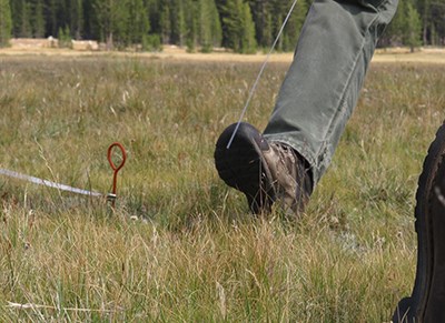 Image of boots and tools in meadow to monitor bare soil