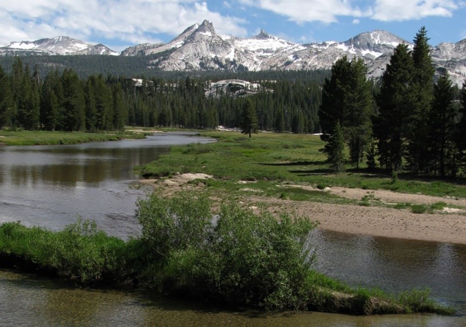 Meadow and riparian vegetation in Tuolumne Meadows