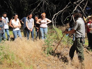 Yosemite park rangers lead and educate volunteers about invasive plant management.
